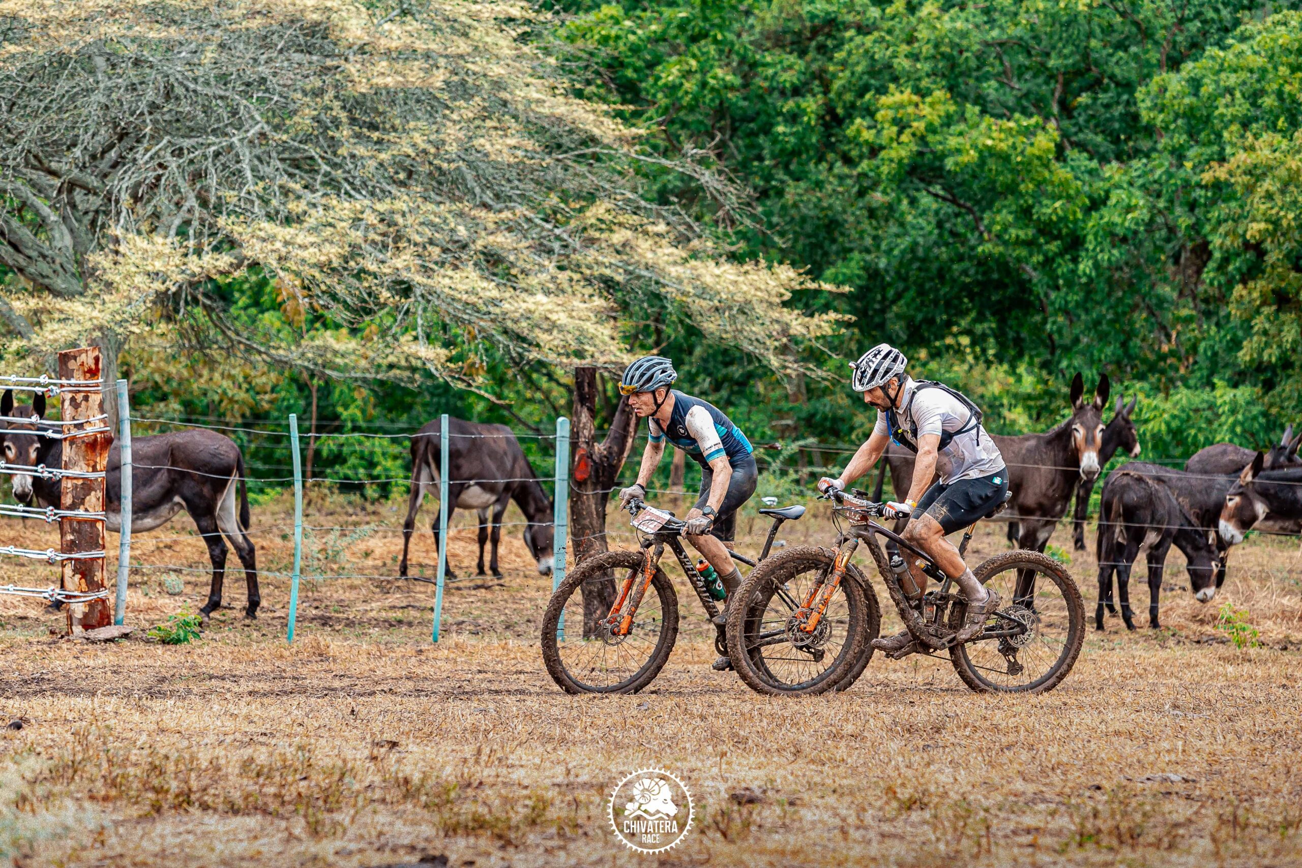 carreras mtb colombia, travesías mtb colombia, retos mtb colombia, blog mtb, ciclismo de mtb y de ruta en Colombia, eventos de ciclismo en Colombia, calendario de competencias MTB, carreras de MTB en Colombia, travesías MTB Colombia, retos MTB Colombia, competencias de ciclismo de ruta Colombia, ferias y fiestas ciclismo Colombia, festivales de verano ciclismo, circuitos MTB en Colombia, ciclismo amateur en Colombia, ciclismo máster Colombia, ciclismo élite Colombia, eventos deportivos en municipios de Colombia, ciclismo en festividades colombianas, pruebas de XCM en Colombia, competencias XCO Colombia, retos ciclismo ruta Colombia, carreras por etapas MTB Colombia, eventos de ciclismo 2025 Colombia, gran fondo ciclismo Colombia, ciclomontañismo Colombia, rutas de ciclismo Colombia, ciclismo competitivo en Colombia, inscripciones a carreras MTB Colombia, plataforma de eventos MTB Colombia, calendario nacional de MTB, guía de carreras MTB Colombia, actividades deportivas en fiestas patronales, ciclismo recreativo Colombia, competencias populares de ciclismo, MTB en temporadas festivas Colombia, ciclismo en pueblos de Colombia, ciclismo en regiones montañosas Colombia, ciclistas amateur buscando eventos, preparación para retos MTB Colombia, guía para ciclistas competitivos, dónde encontrar eventos de ciclismo en Colombia, mtb.racing calendario nacional