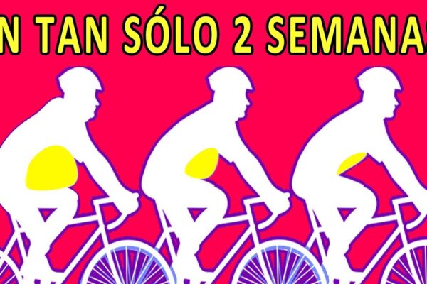nutrición para ciclistas de MTB, dieta para ciclistas de montaña, alimentación ciclistas MTB, qué comer antes de una ruta MTB, qué debe desayunar un ciclista, plan de alimentación para ciclistas, nutrición deportiva MTB, dieta semanal ciclistas montaña, comida para ciclistas de alto rendimiento, menú semanal para ciclistas, suplementos para ciclistas de MTB, consejos de nutrición MTB, alimentación antes y después del entrenamiento MTB