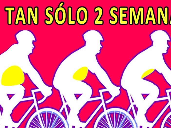 nutrición para ciclistas de MTB, dieta para ciclistas de montaña, alimentación ciclistas MTB, qué comer antes de una ruta MTB, qué debe desayunar un ciclista, plan de alimentación para ciclistas, nutrición deportiva MTB, dieta semanal ciclistas montaña, comida para ciclistas de alto rendimiento, menú semanal para ciclistas, suplementos para ciclistas de MTB, consejos de nutrición MTB, alimentación antes y después del entrenamiento MTB