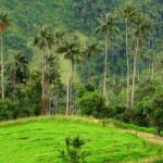 calendario de eventos MTB en Tolima 2025, carreras de ciclismo de montaña en Tolima, competencias MTB en Ibagué y Cajamarca 2025, travesías en bicicleta de montaña Tolima, ciclismo en el Alto de La Línea Tolima, eventos de ciclismo en Murillo y Mariquita, rutas de MTB en Tolima Colombia, turismo en bicicleta por el Tolima, retos MTB Tolima 2025, ciclismo de montaña en el Nevado del Ruiz desde Tolima, competencias de ciclismo amateur Tolima 2025, travesías y retos ciclistas en el Tolima, MTB en el Tolima paisajes cafeteros, ciclismo de montaña en el corazón de Colombia, calendario ciclismo Tolima carreras y retos