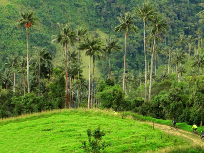 calendario de eventos MTB en Tolima 2025, carreras de ciclismo de montaña en Tolima, competencias MTB en Ibagué y Cajamarca 2025, travesías en bicicleta de montaña Tolima, ciclismo en el Alto de La Línea Tolima, eventos de ciclismo en Murillo y Mariquita, rutas de MTB en Tolima Colombia, turismo en bicicleta por el Tolima, retos MTB Tolima 2025, ciclismo de montaña en el Nevado del Ruiz desde Tolima, competencias de ciclismo amateur Tolima 2025, travesías y retos ciclistas en el Tolima, MTB en el Tolima paisajes cafeteros, ciclismo de montaña en el corazón de Colombia, calendario ciclismo Tolima carreras y retos