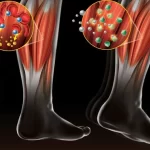 eliminar ácido láctico piernas ciclismo, cómo eliminar el ácido láctico después del ciclismo, recuperación muscular post ciclismo, masaje de descarga para ciclistas, ácido láctico en las piernas cómo eliminarlo, cómo reducir el lactato en ciclismo, suplementos para recuperación muscular ciclismo, alimentos para eliminar ácido láctico, rutina post ciclismo para piernas, cómo evitar dolor muscular tras ciclismo, masaje deportivo para ciclistas, técnicas de recuperación muscular ciclismo, cómo aliviar piernas cansadas ciclismo, ácido láctico en deportistas tratamiento