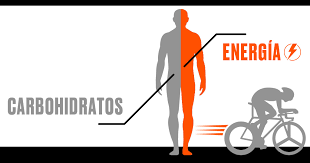 importancia de los carbohidratos en la dieta del ciclista, carbohidratos para ciclistas, dieta equilibrada para ciclistas, qué comer antes de entrenar en bici, alimentación para ciclistas de montaña, nutrición deportiva para ciclistas, energía para ciclistas, rendimiento en MTB, alimentación previa a carreras de ciclismo, dieta para ciclistas colombianos